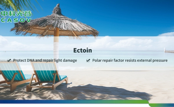 <font dir="auto" style="vertical-align: inherit;"><font dir="auto" style="vertical-align: inherit;">피부에 대한 엑토인 파우더의 잠재력(CAS 번호: 96702-03-3): 과학적 관점