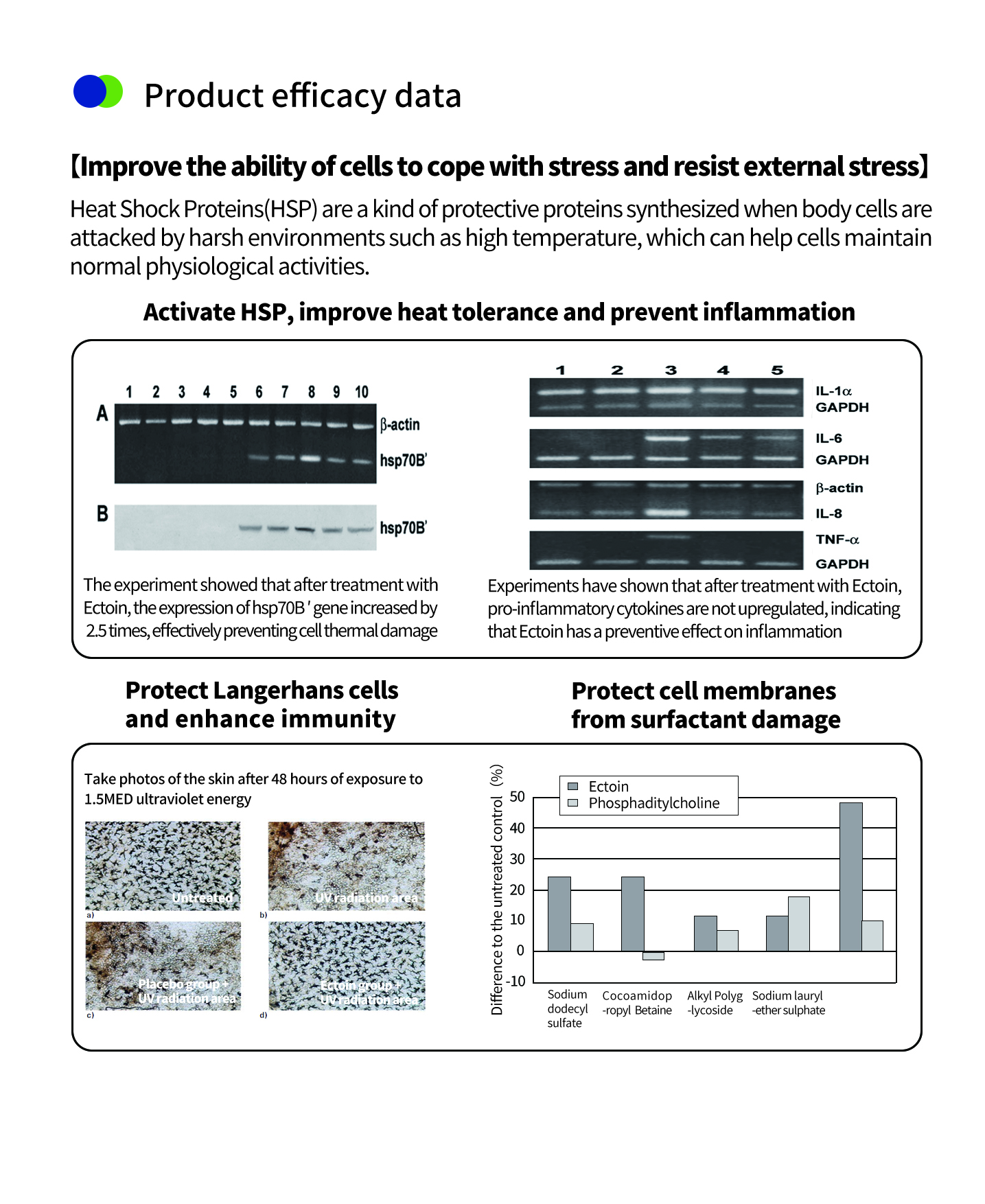 피부용 엑토인 파우더 피부용 엑토인 파우더