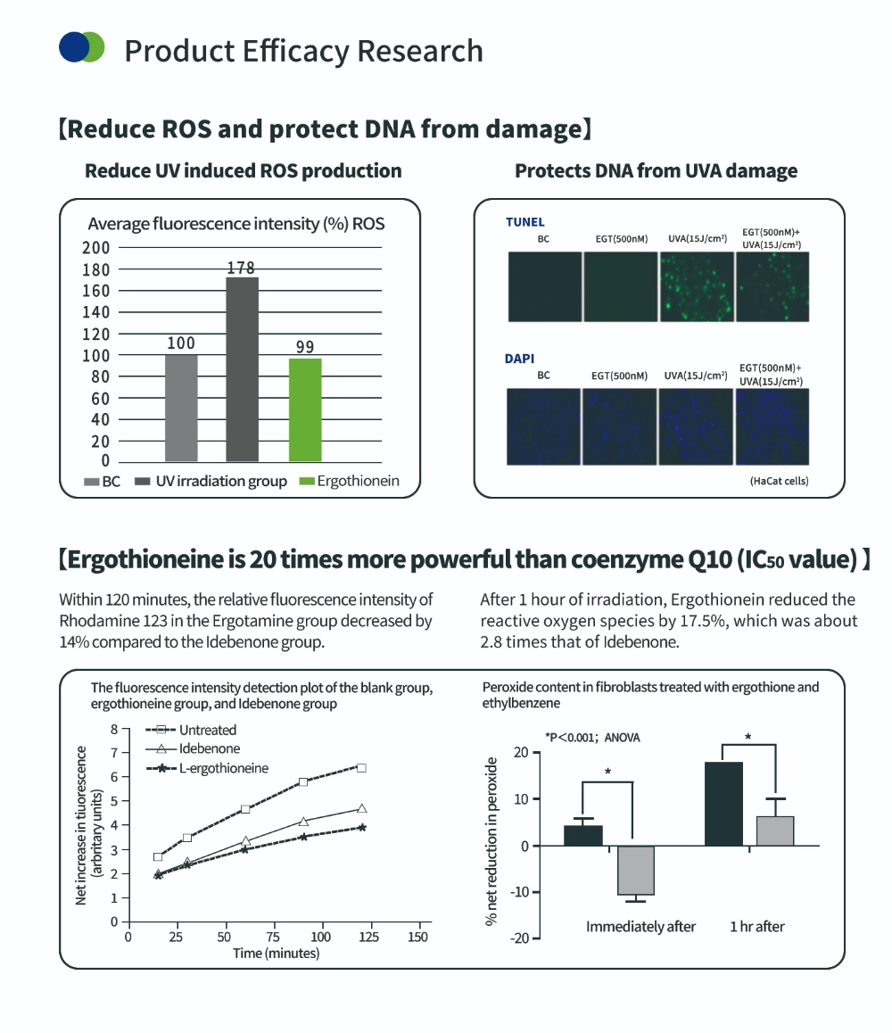 항산화 화합물 에르고티오네인 항산화 화합물 에르고티오네인