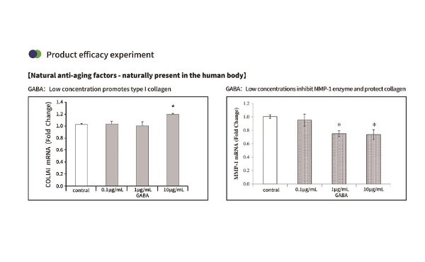 활성 GABA는 어떻게 콜라겐을 증가시키고 피부를 자연스럽게 복구하는가?