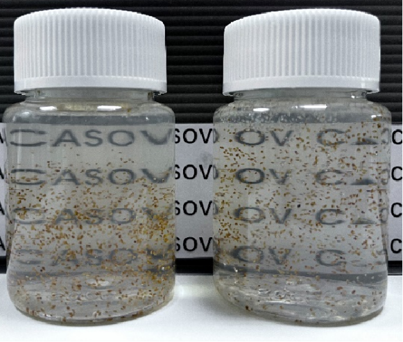 바이오서스프 BC