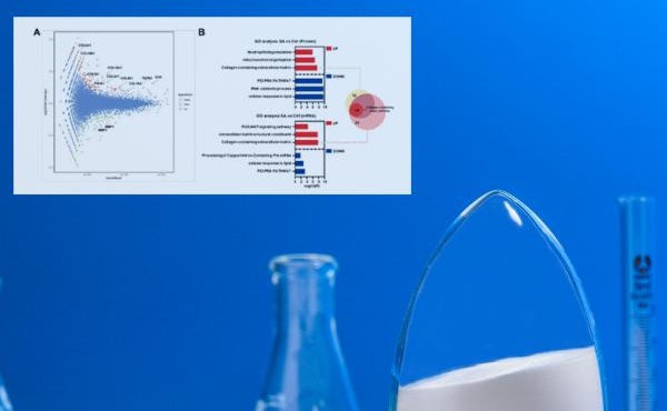 국제적으로 유명한 뷰티 매거진 "SOFW Journal": Omics Technology &amp; N -Acetylneuraminic Acid- 젊음의 피부의 비밀 디코딩